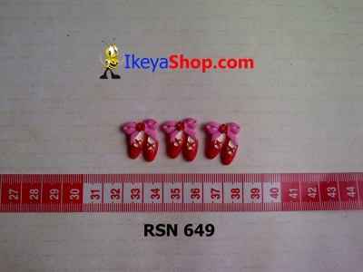 rsn 649  large2